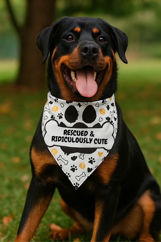 'Rescued & Ridiculously Cute' Clip-On Pet Bandana