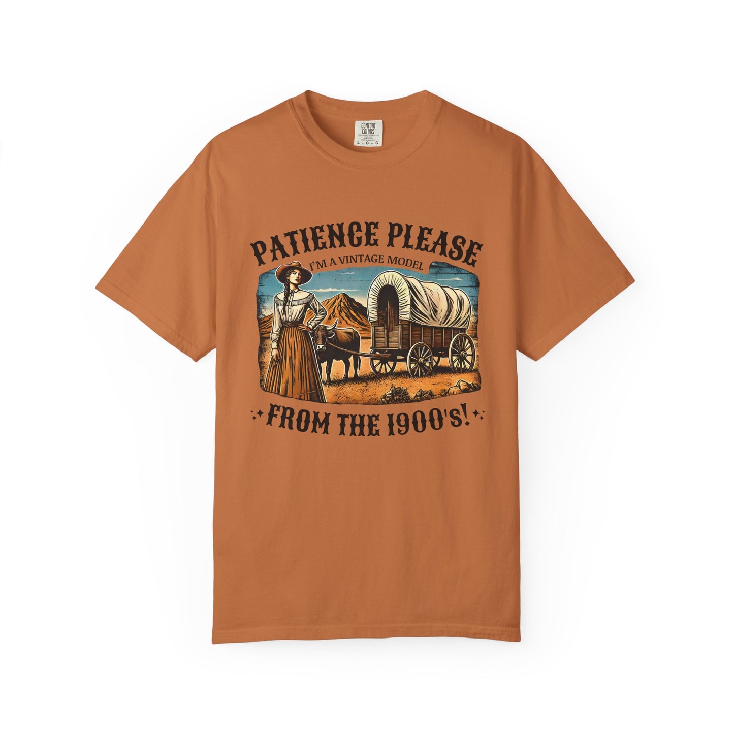 Patience Please, I’m a Vintage Model Tee — view 6