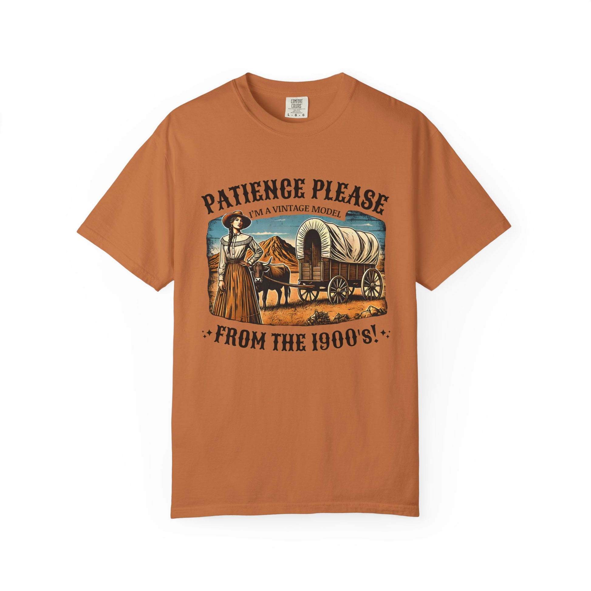 Patience Please, I’m a Vintage Model Tee — view 6