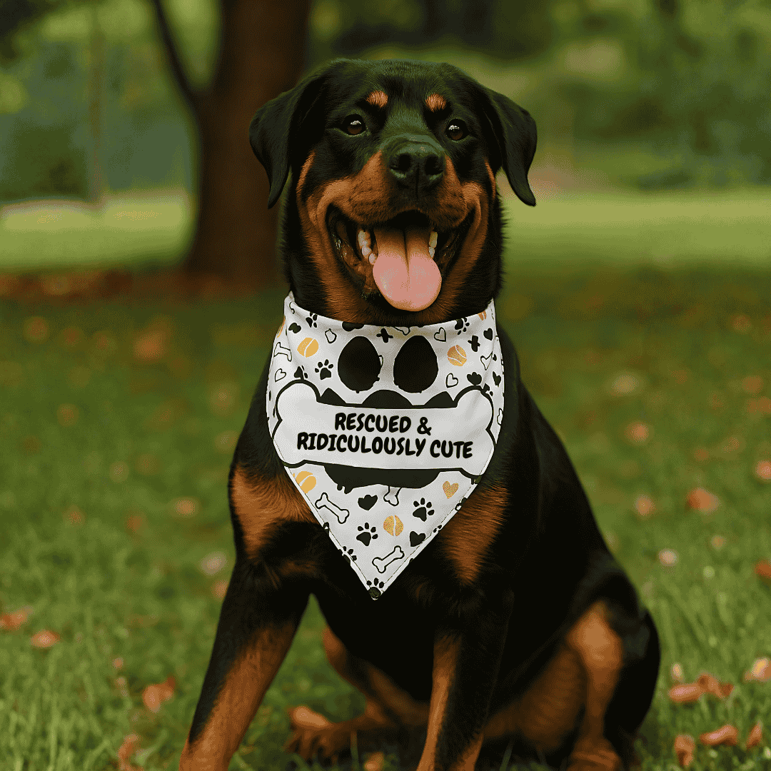 Dog wearing a bandana with text sitting on grass
